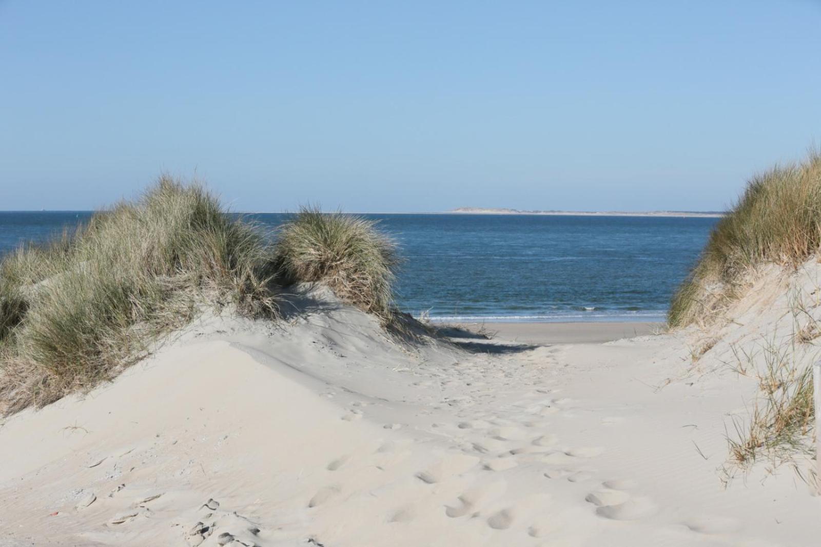Vlierijck Apart otel Vlieland Dış mekan fotoğraf